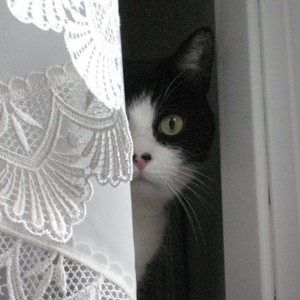 Meet your Posher, Peggy